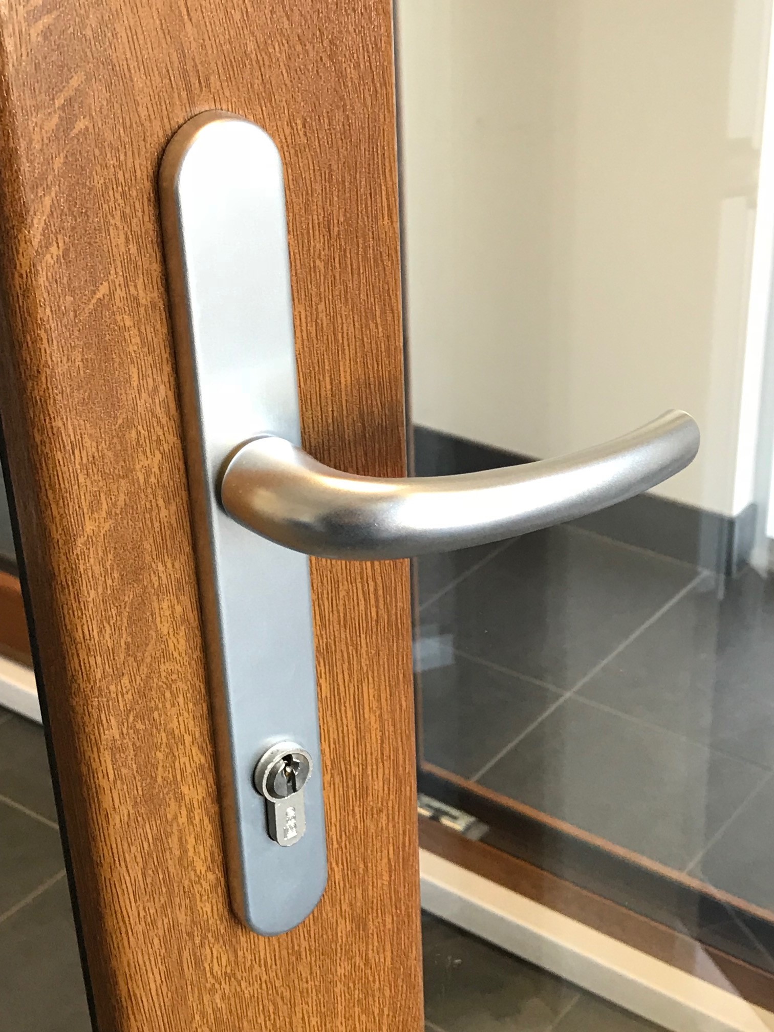 Handle Entry and Swing Doors